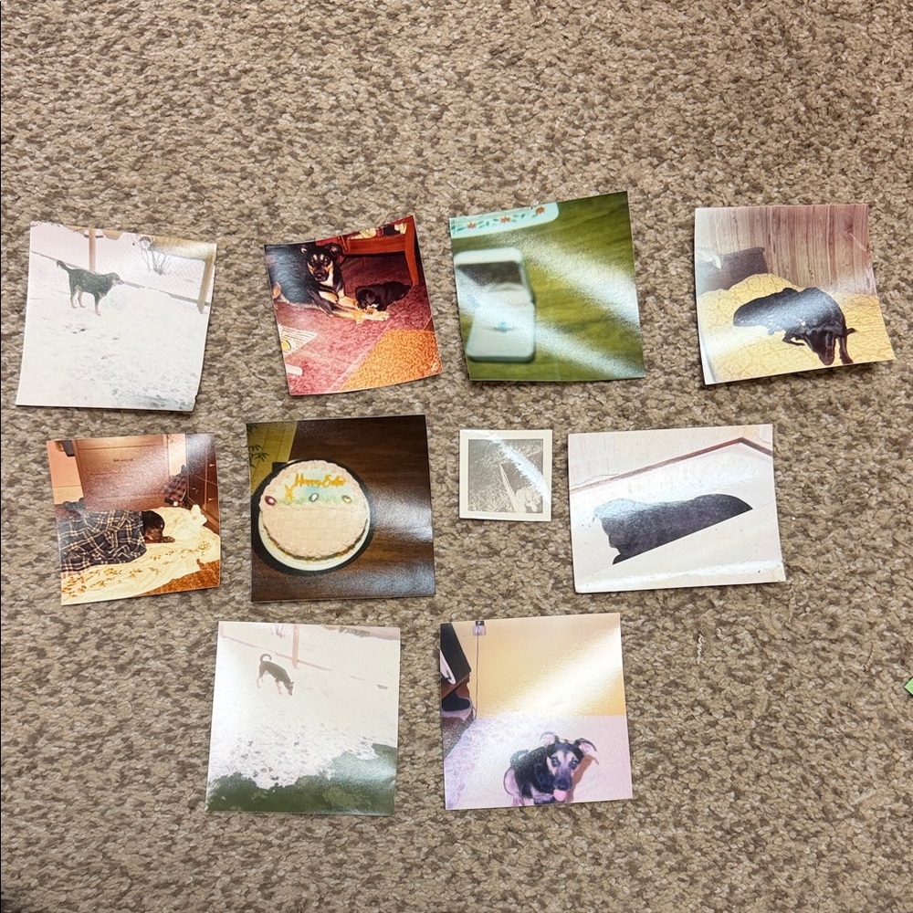 Assorted Vintage Photographs